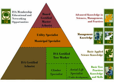 ISA Certification Triangle
